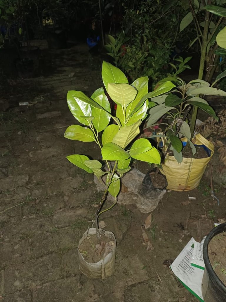 WhatsApp Image 2026-07-21 at 2.33.15 AM
