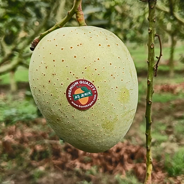 গৌরমতী আম
